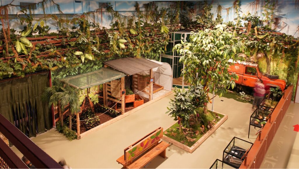 Chocolate factory tour