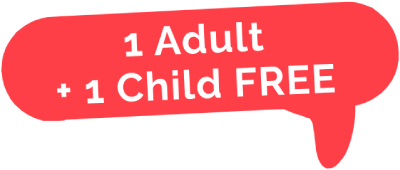 banner 1+1 chocotopia