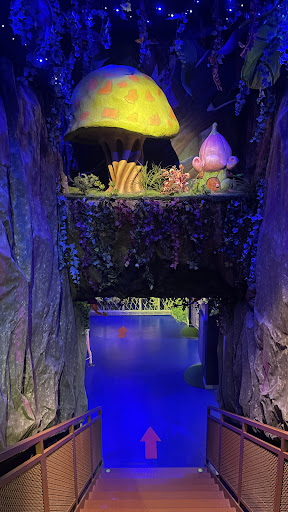 Photo from customer review