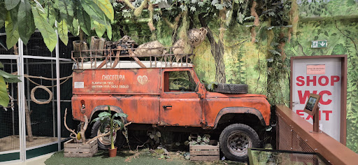 Photo from customer review