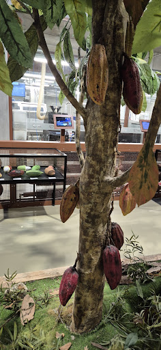 Photo from customer review