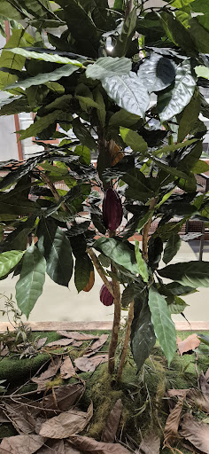 Photo from customer review